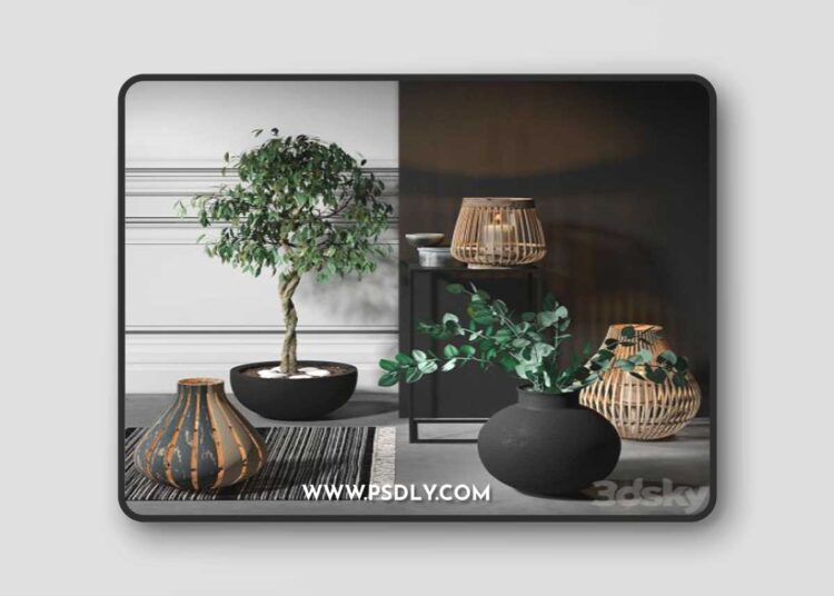 Decorative set 3D Model