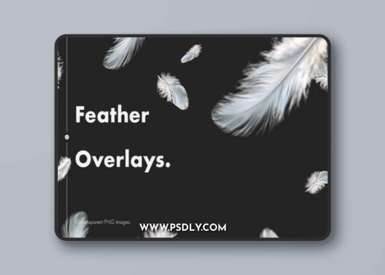 Feather Overlays