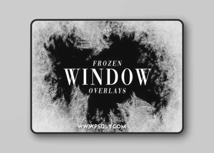 Frozen Window Overlays 3D Model