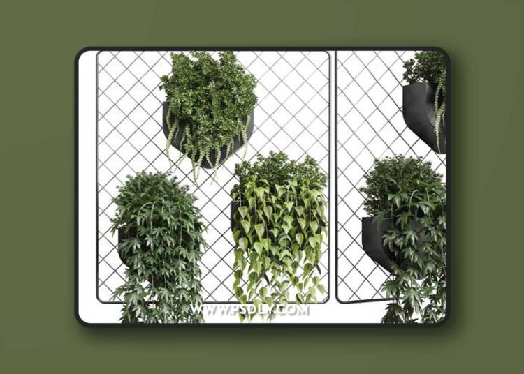 wall plant - hanging plants collection Indoor plant 293 metal dirt vase