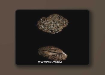 Animal DungFeces - Horse and Cow - Photoscan Vol 3 5.3