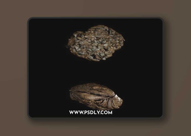 Animal DungFeces - Horse and Cow - Photoscan Vol 3 5.3
