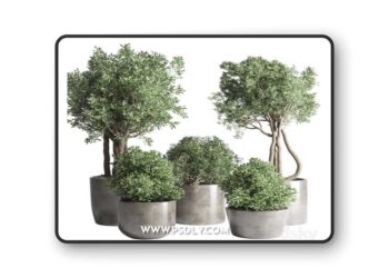 Collection Outdoor Indoor plant 53 concrete dirt vase pot tree bush