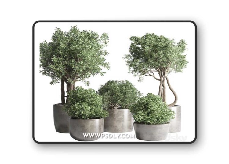 Collection Outdoor Indoor plant 53 concrete dirt vase pot tree bush
