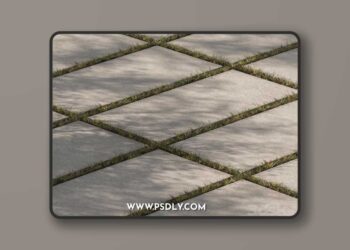 Concrete Slab with Grass - Paving 03