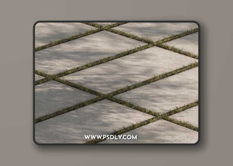 Concrete Slab with Grass - Paving 03