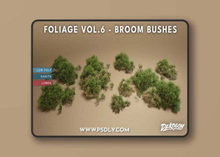 Foliage VOL.6 - Broom Bushes (Nanite and Low Poly) 5.3