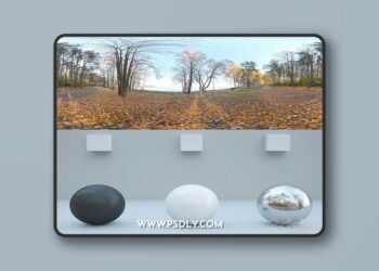 HDRi-autumn,-the-road.-By-the-lake