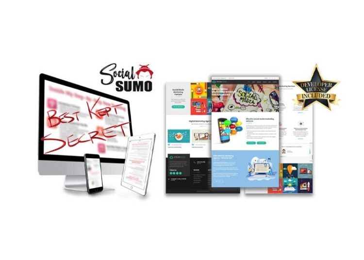 Local Social Sumo – The Ultra Rare Secrets to Managing Compaigns For Local Clients 1 Local Social Sumo – The Ultra Rare Secrets to Managing Compaigns For Local Clients