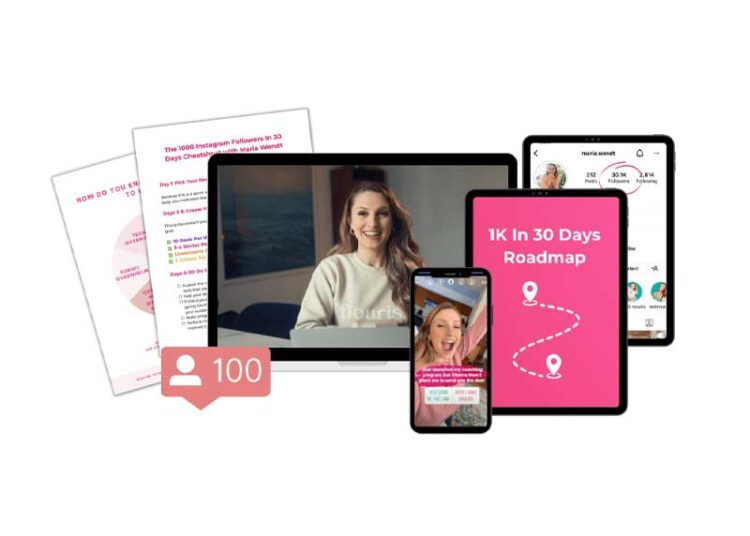 Maria Wendt – The 1K Instagram Followers In 30 Days Challenge