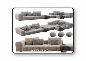 Minotti Good Man 3D Model