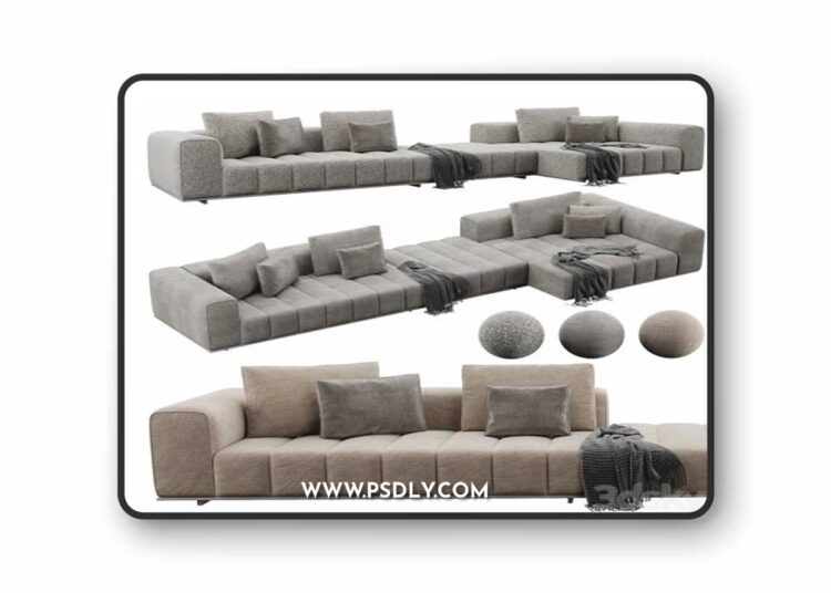 Minotti Good Man 3D Model