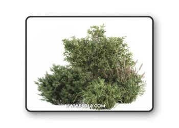 Mixed Plant Bush - Bush Set 37