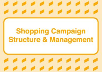 Take Some Risk – Shopping Campaign Structure and Management