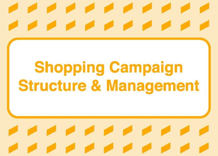 Take Some Risk – Shopping Campaign Structure and Management 1 Take Some Risk – Shopping Campaign Structure and Management