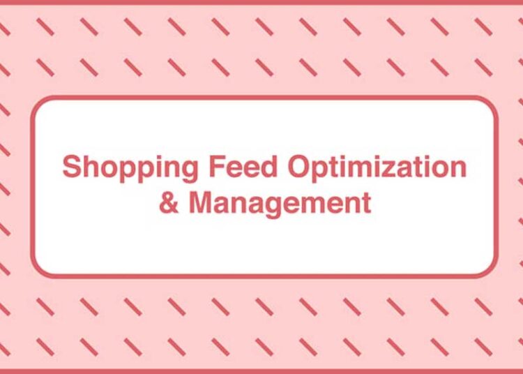 Take Some Risk – Shopping Feed Optimization and Management 1 Take Some Risk – Shopping Feed Optimization and Management