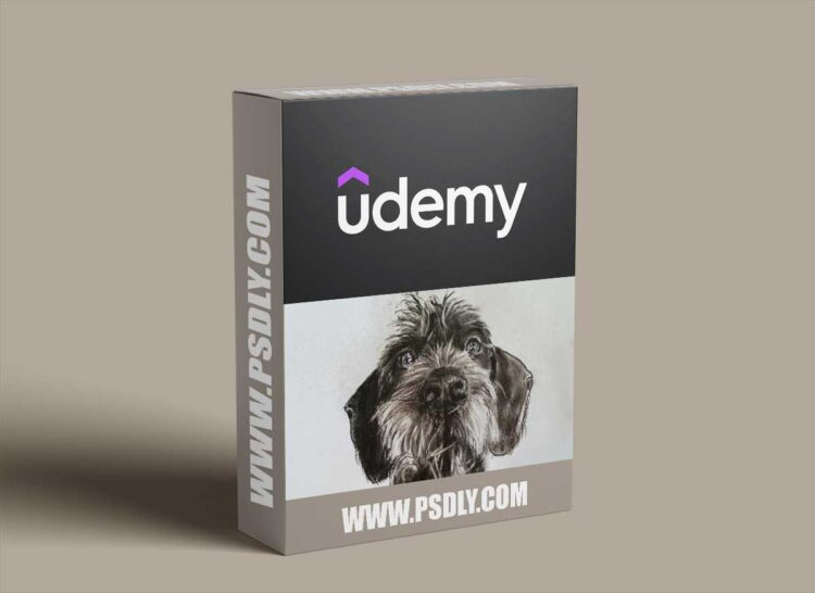 Udemy - Enhancing child's creativity and imagination by drawing