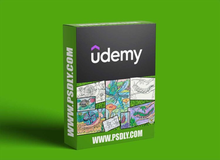 Udemy - How to Draw Fun Bugs Step-by-Step