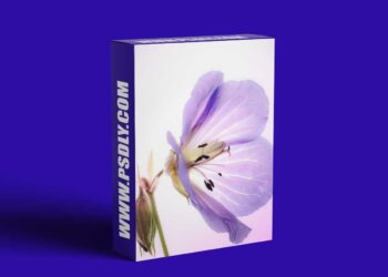 Fine art photography: X-ray like images of flowers for beginners