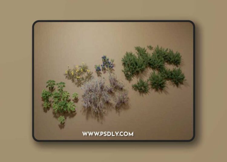 Foliage VOL.10 – Yard Plants