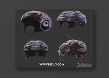 HOCKEY Helmet 3D Model