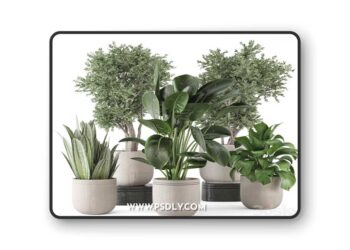 Indoor Plants in rusty Concrete Pot - Set 921