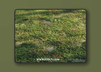 Meadow grass 2 3D Model