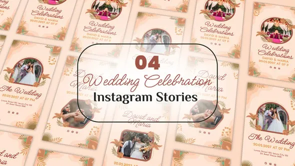 Videohive Wedding Celebration Instagram Stories 54326044
