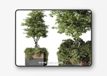 Outdoor Plant Set 01 3D Model