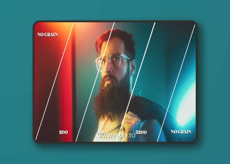 All in One Grain [Lightroom preset] V2.001