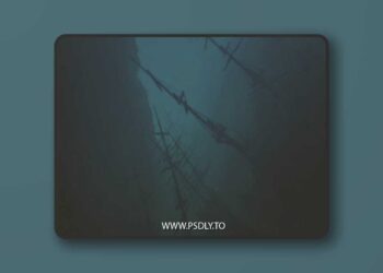 Bay Submerged Ships 3D Model