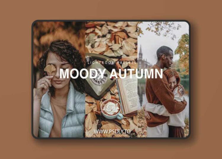 Moody Autumn Lightroom Presets