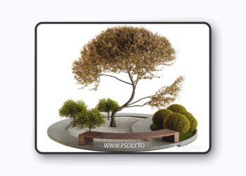Outdoor Plant Vol2 01 3D Model
