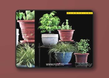 PLANTS 182 3D Model