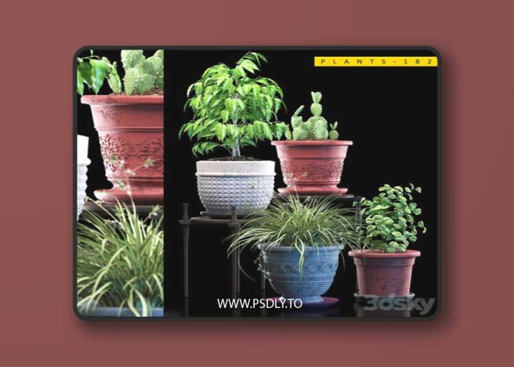 PLANTS 182 3D Model