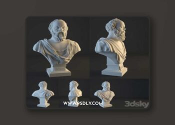 Socrates-Bust-3D-Model