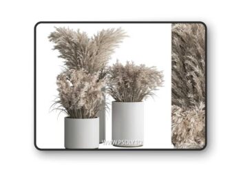 indoor Plant Set 406 - Dried Plant Set in Pot