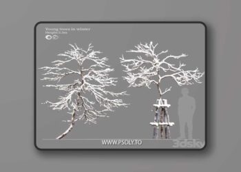 winter young trees 3D Model