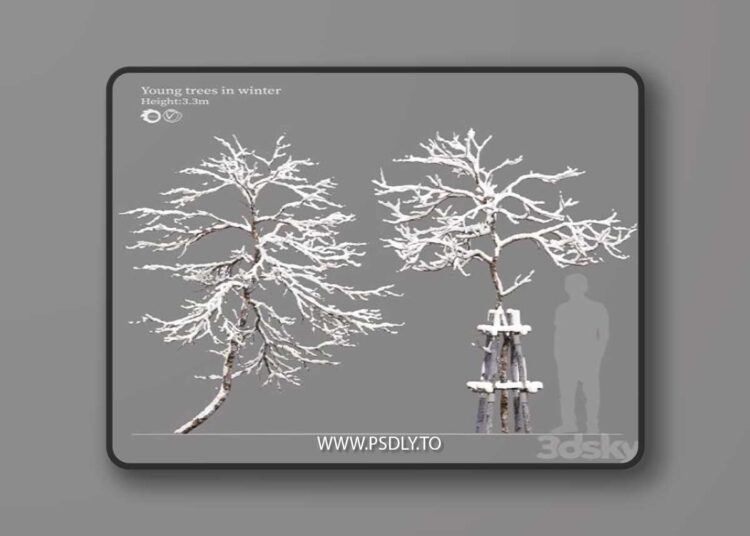 winter young trees 3D Model