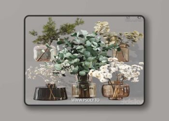 Collection Indoor Plants 07 3D Model