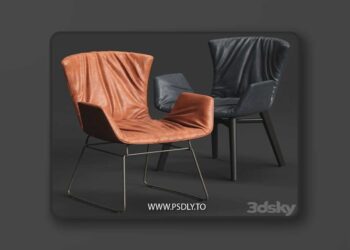 DRAENERT DEXTER Armchair 3D Model