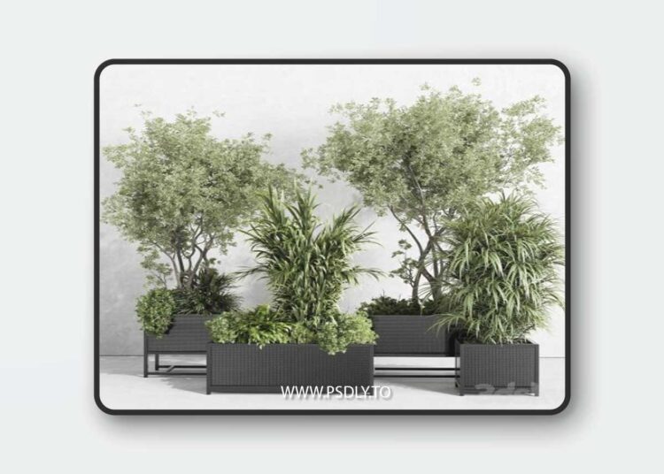 Metal box plants on stand - set indoor plant 425