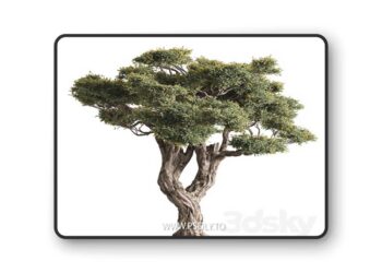 Ola Tree Set 294 3D Model