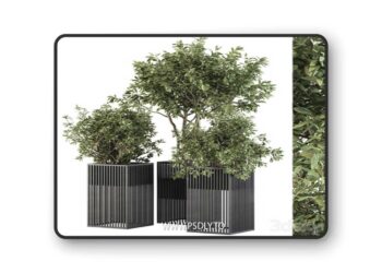 Outdoor Plant Set 276 - Plant Set in Metal Pot