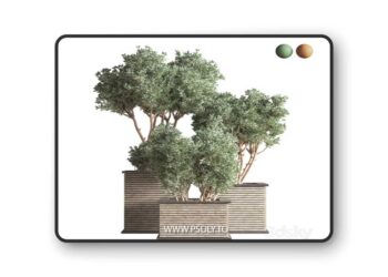 Outdoor Plants tree 22 3D Model