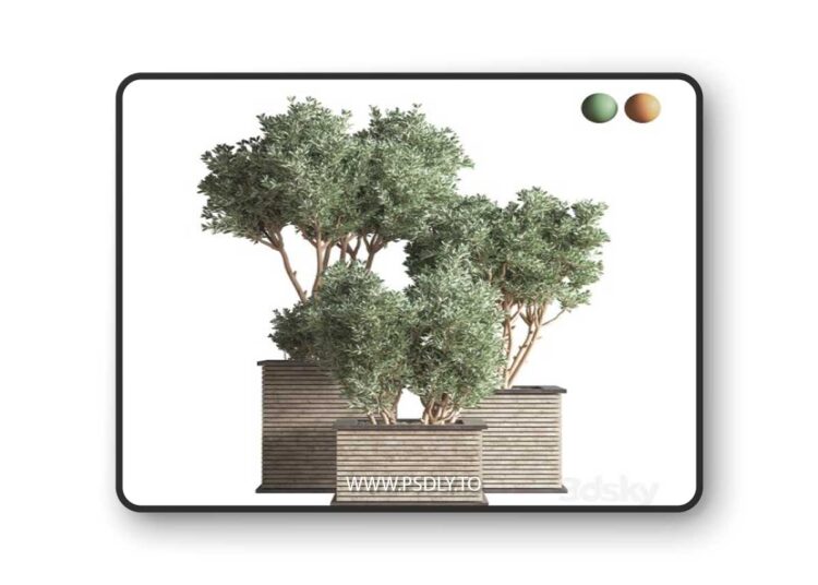 Outdoor Plants tree 22 3D Model