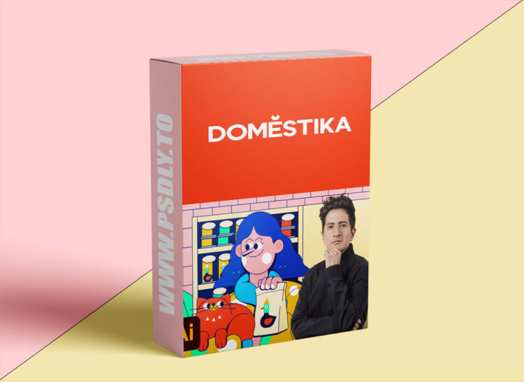 Domestika - Vector Illustration for Beginners
