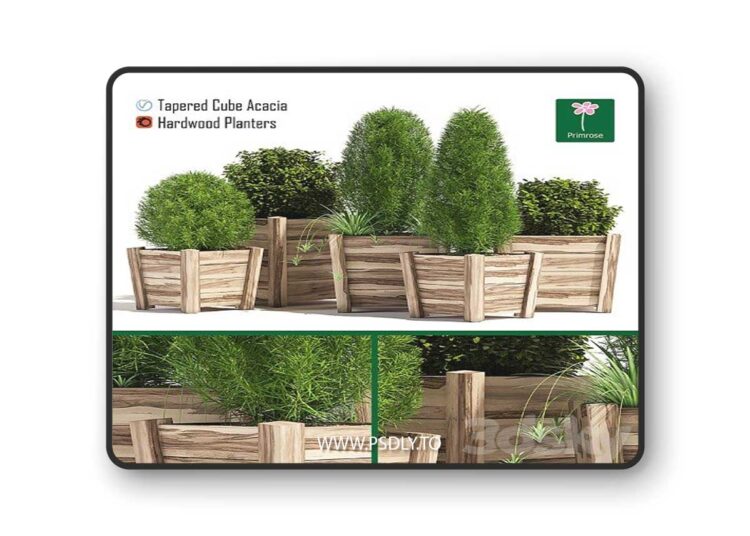 Hardwood planters 3D Model
