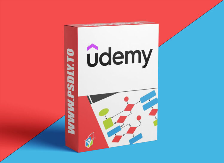 Udemy - Process Flowcharts & Process Mapping - The Advanced Guide