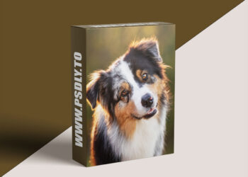 Unleashed Education - Simplifying Manual Exposure for Pet Photographers